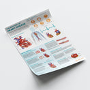 Switch The Anatomy of Heart Disease Chart / Poster 3 image