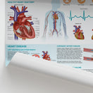 Switch The Anatomy of Heart Disease Chart / Poster 2 image