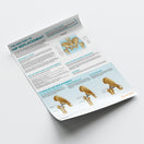 Switch The Anatomy of Hip Replacement Chart / Poster 3 image