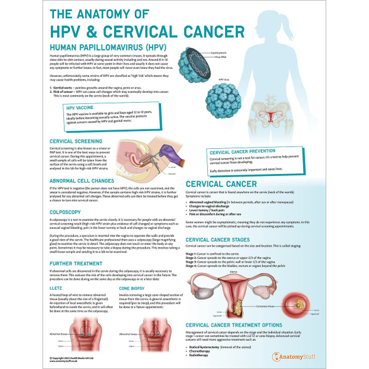 Female Reproductive System Anatomy & Pathology Collection