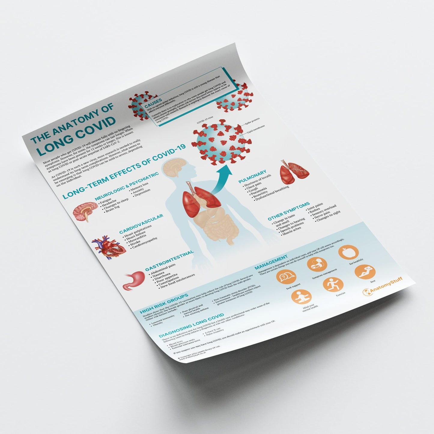The Anatomy of Long COVID Chart / Poster - Part of Collection