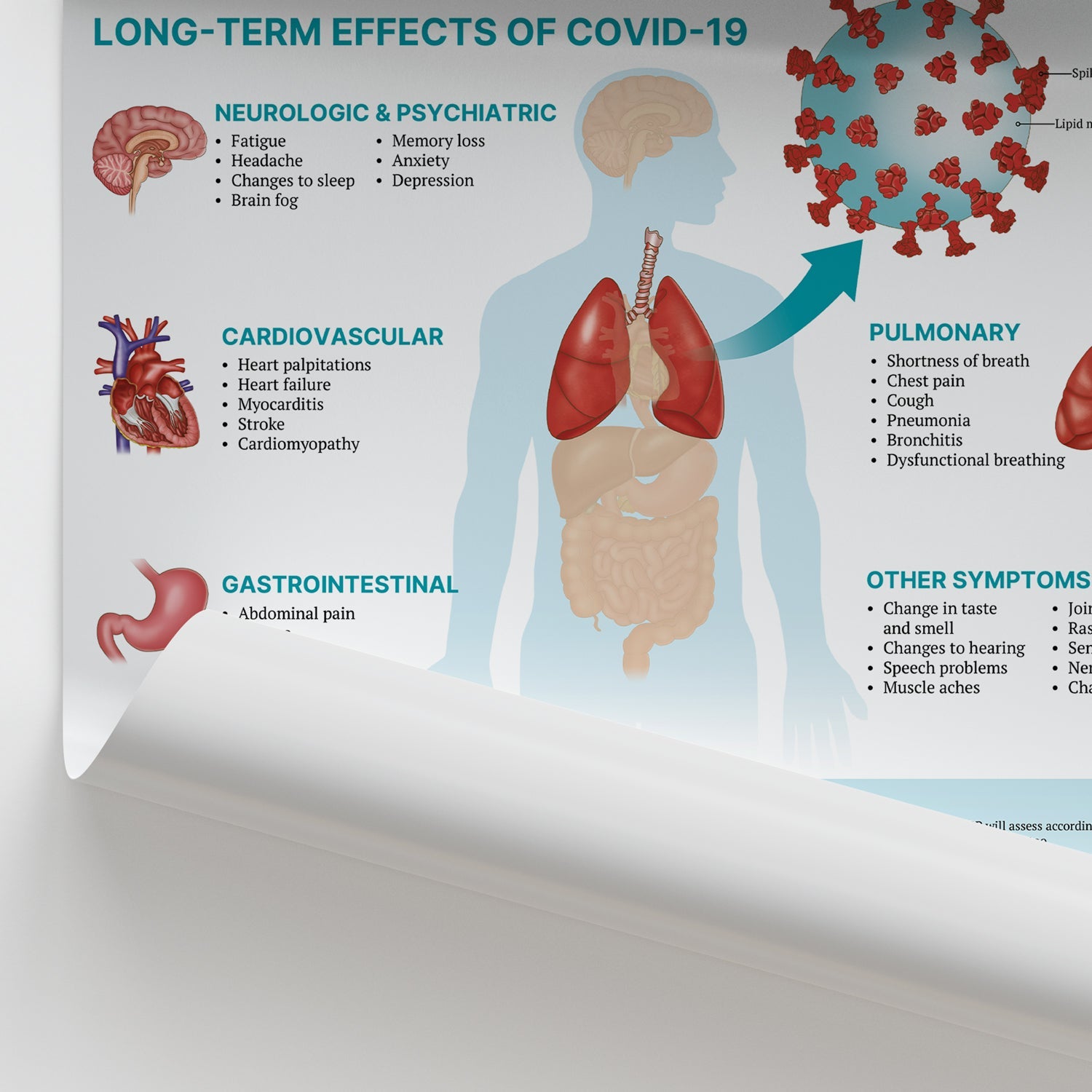 The Anatomy of Long COVID Chart / Poster - Part of Collection