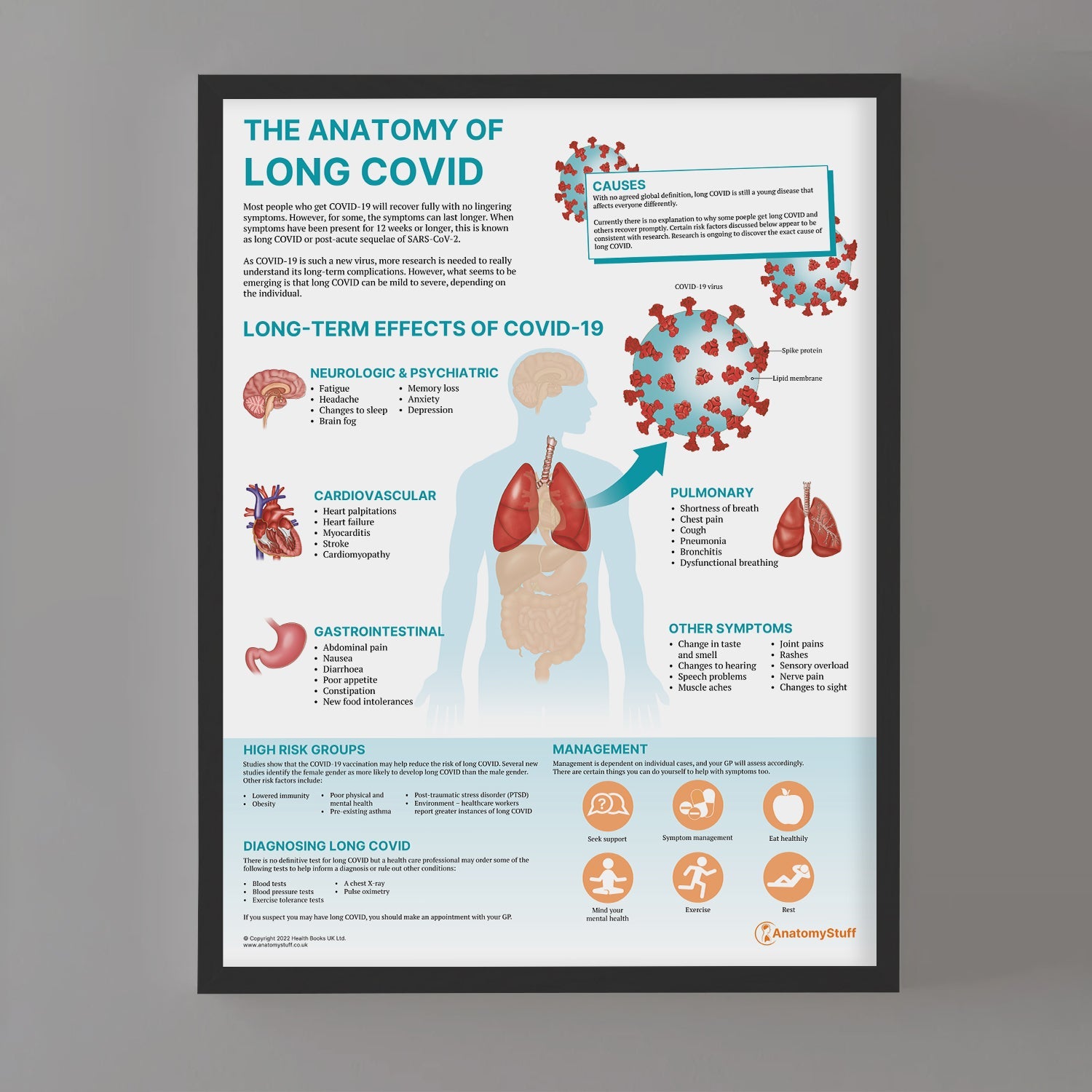 The Anatomy of Long COVID Chart / Poster - Part of Collection