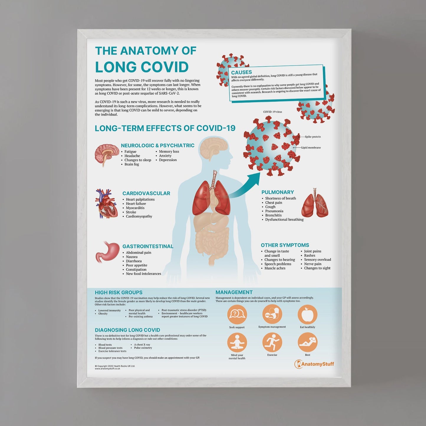The Anatomy of Long COVID Chart / Poster - Part of Collection