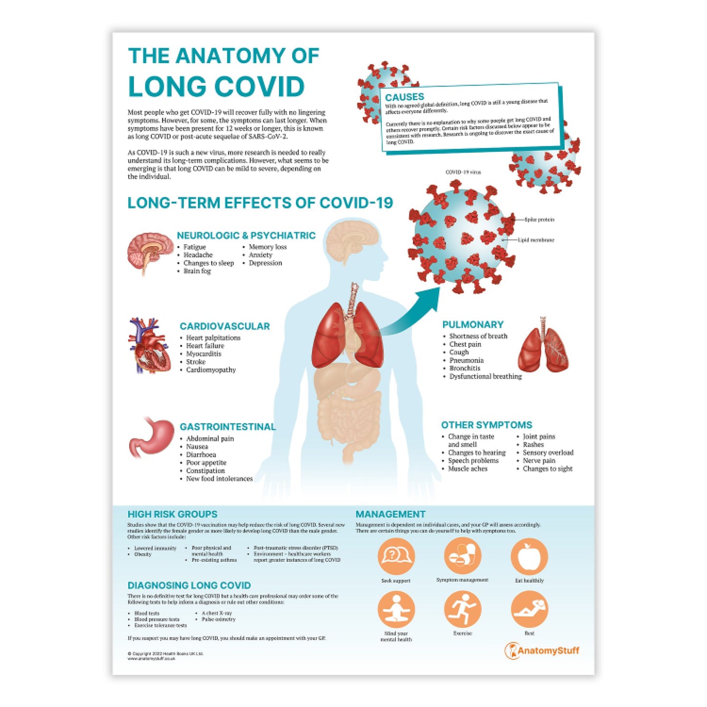 The Anatomy of Long COVID Chart / Poster - Part of Collection