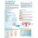 Switch The Anatomy of Menopause poster 2 image