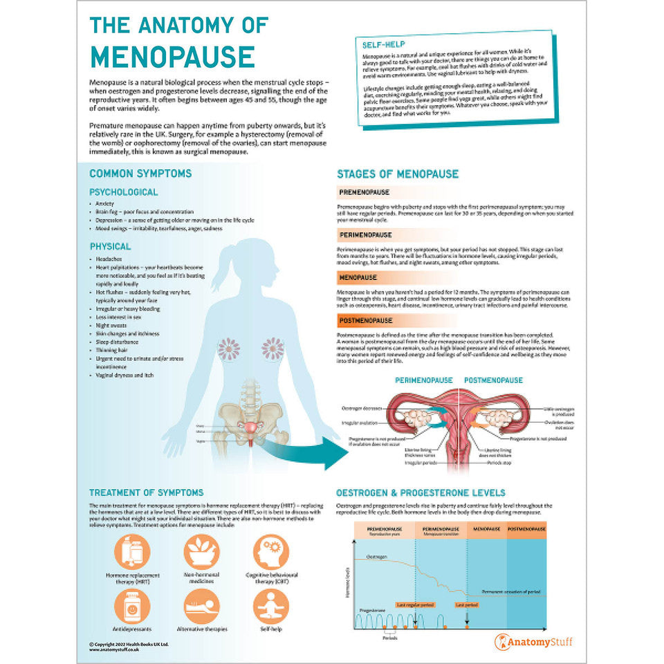 Menopause Collection | Menopause Educational Tools – AnatomyStuff