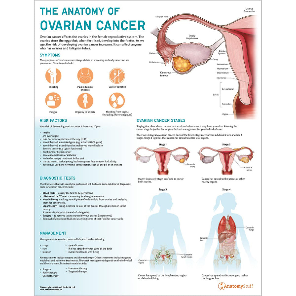 Female Reproductive System Anatomy & Pathology Collection