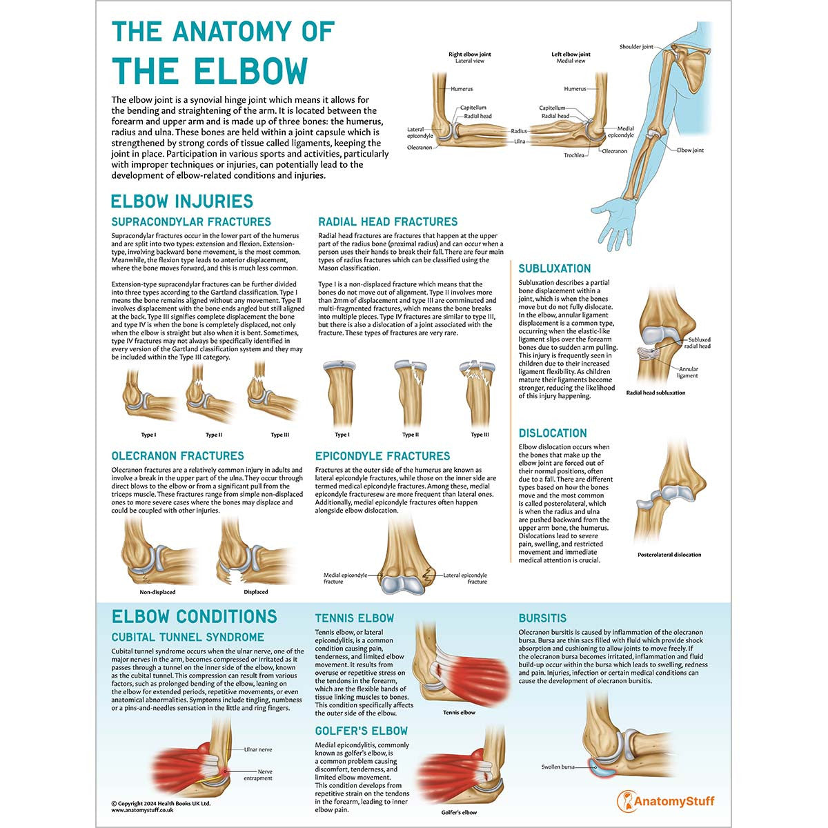 Elbow Anatomy & Pathology Collection