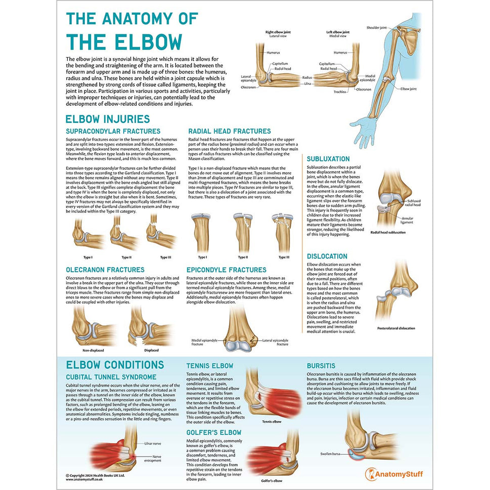 Elbow Anatomy & Pathology Collection