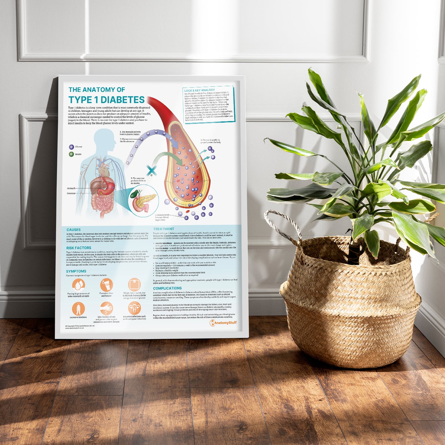 The Anatomy of Type 1 Diabetes Chart / Poster
