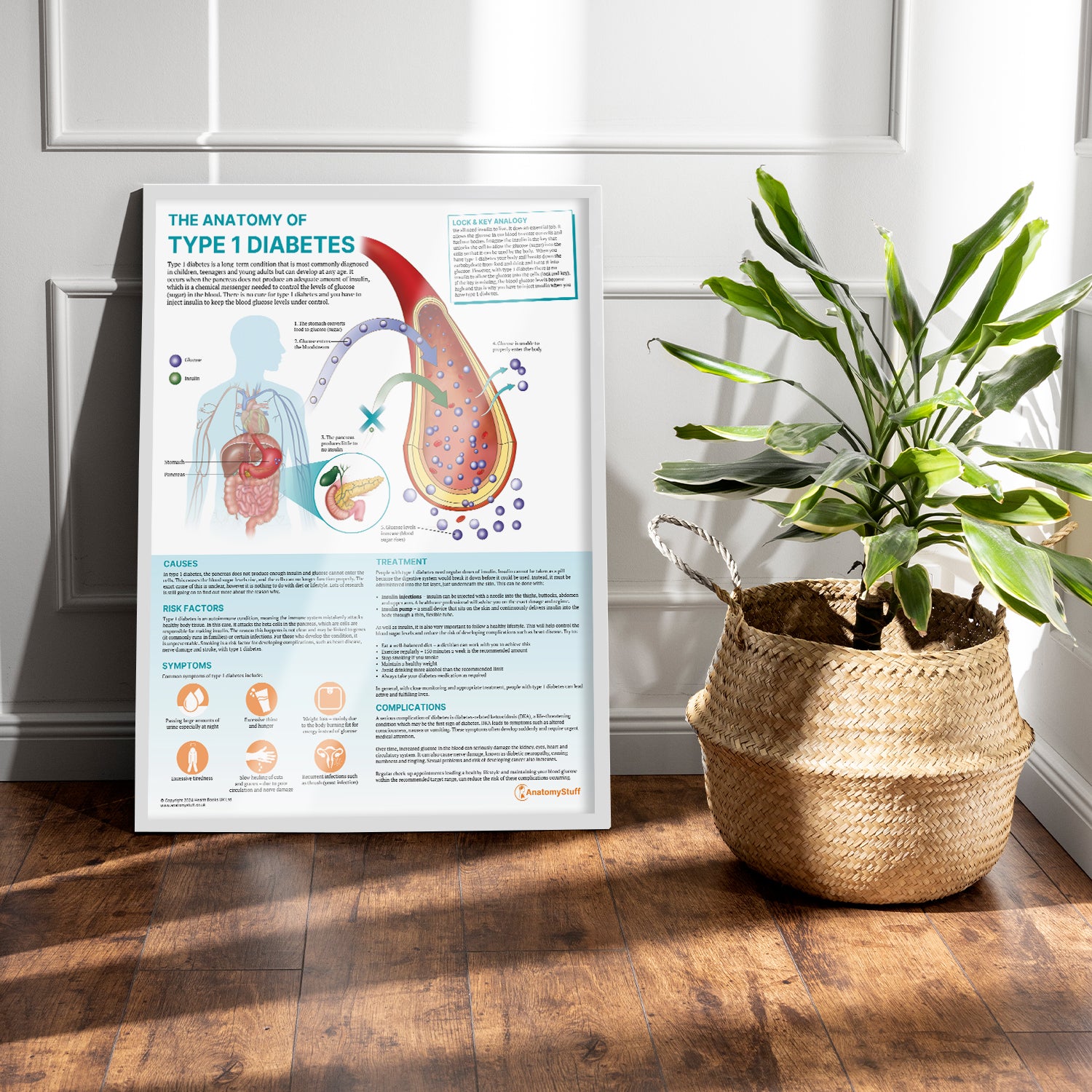 The Anatomy of Type 1 Diabetes Chart / Poster