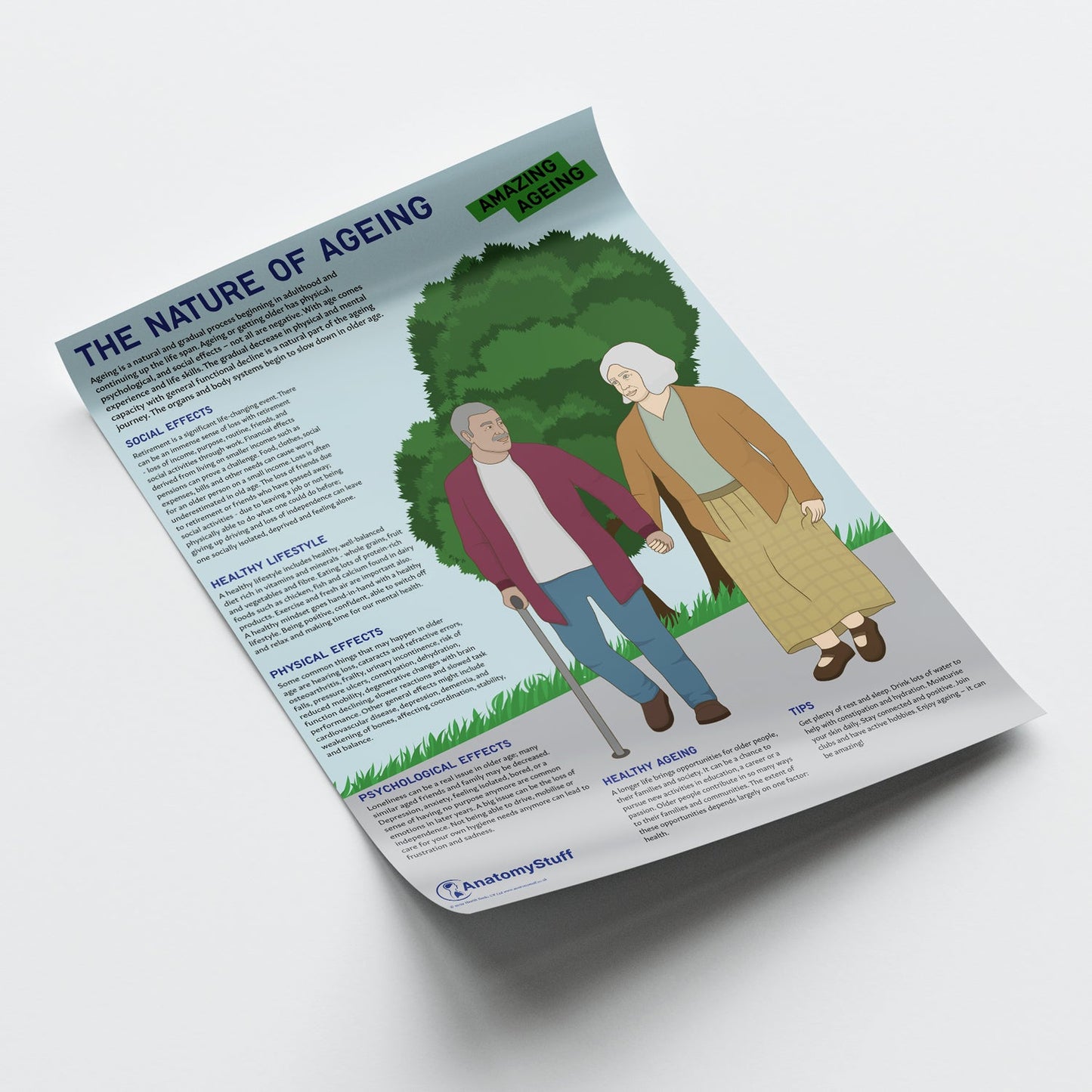 The Nature Of Ageing Chart / Poster - Part of Collection