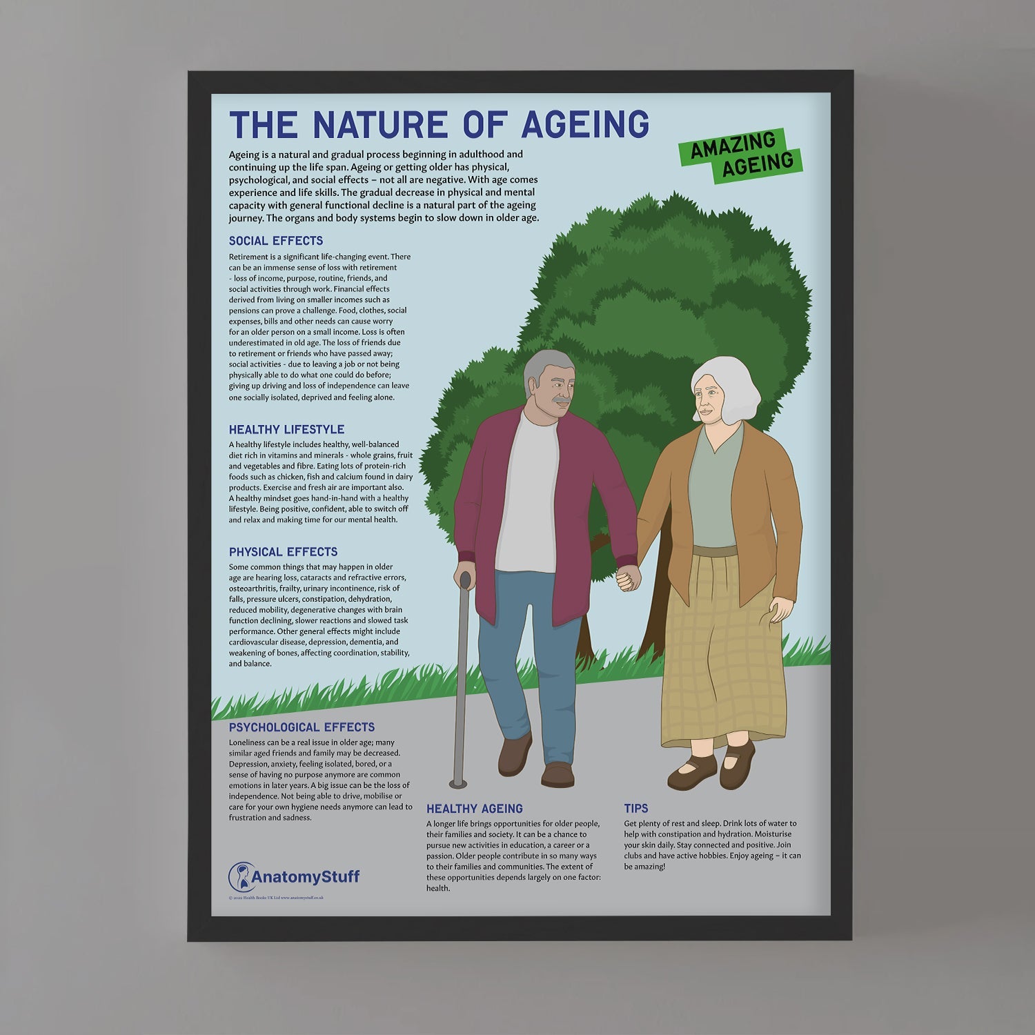 The Nature Of Ageing Chart / Poster - Part of Collection