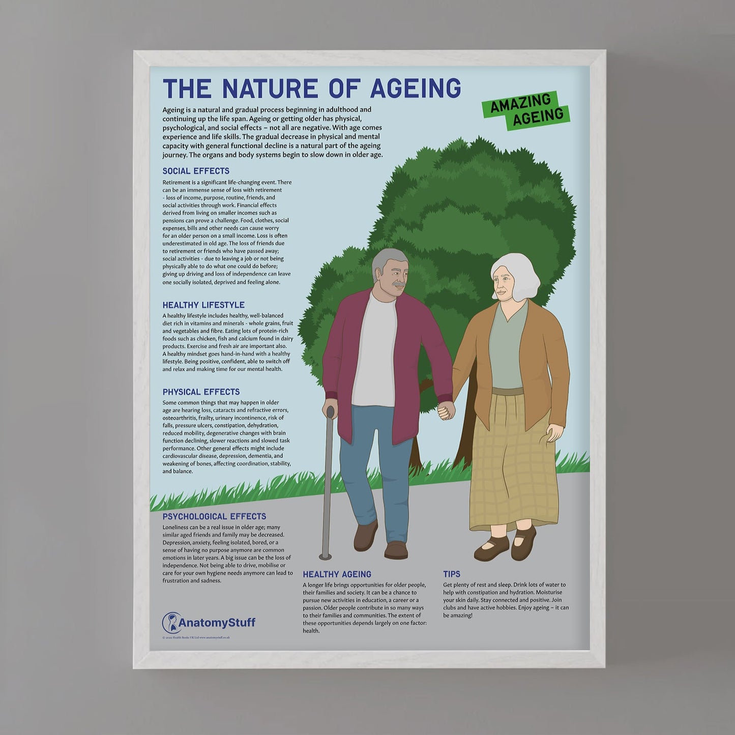 The Nature Of Ageing Chart / Poster - Part of Collection