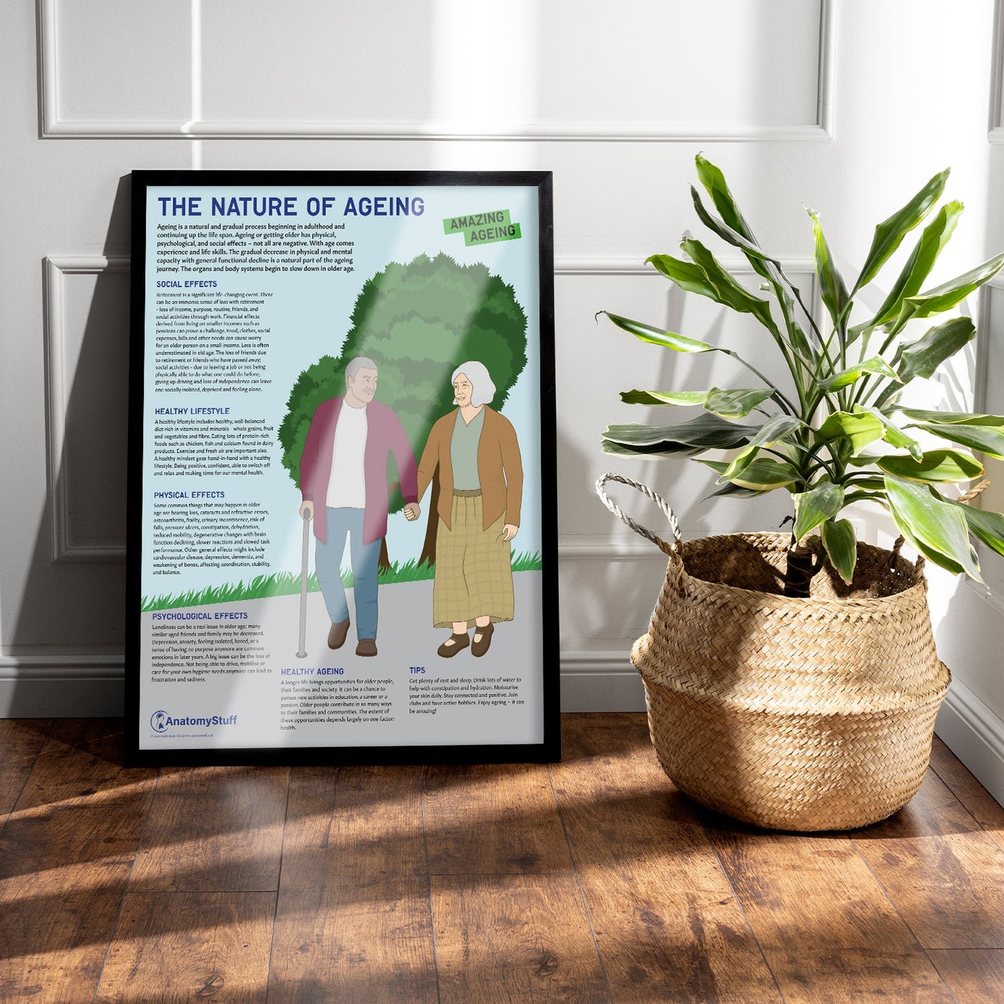 The Nature Of Ageing Chart / Poster - Part of Collection