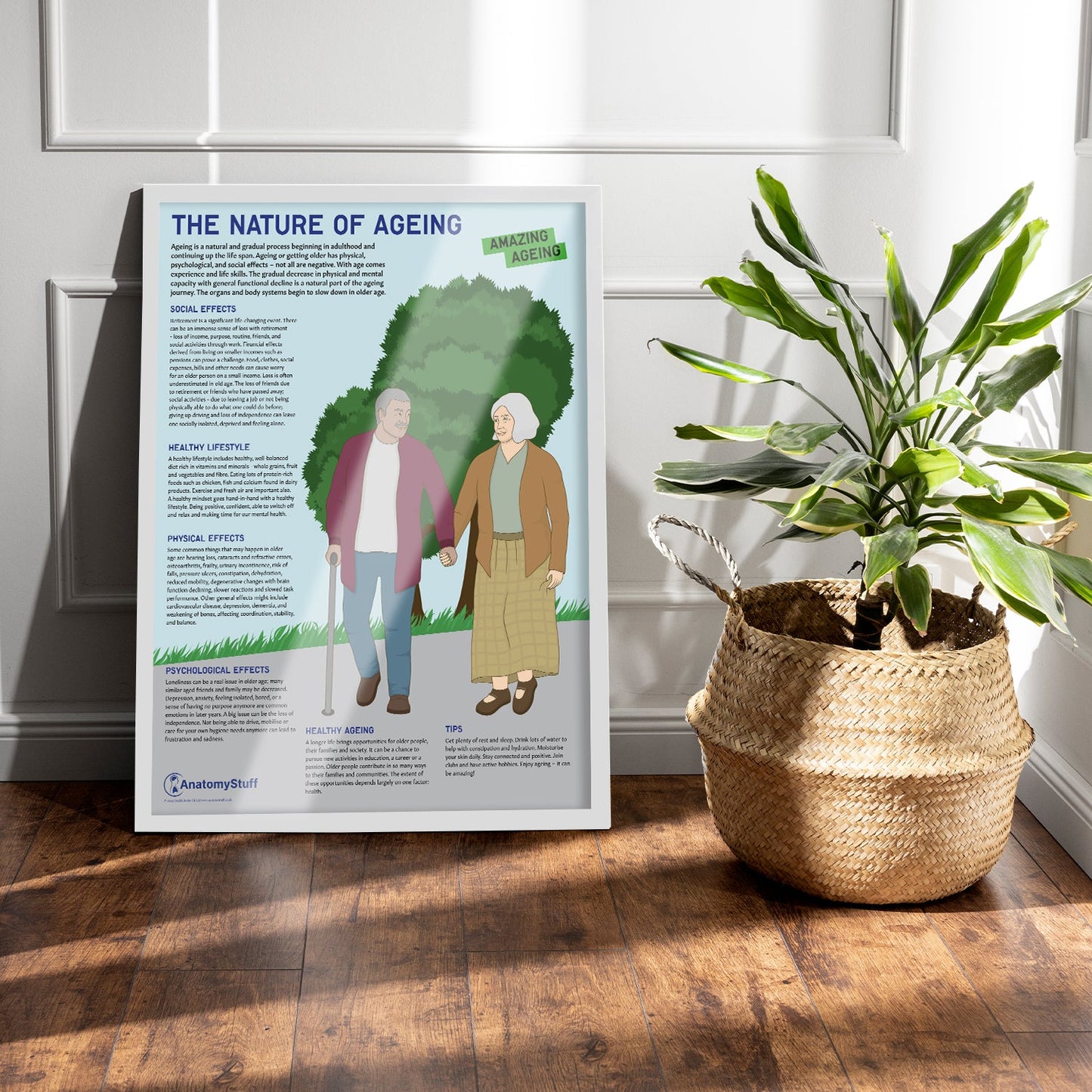 The Nature Of Ageing Chart / Poster - Part of Collection