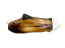 Switch Adult Full Body with Muscles for X-Ray CT, MRI FB-A02 image 3 3 image