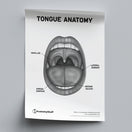 Switch Tongue Anatomy Poster PDF 2 image