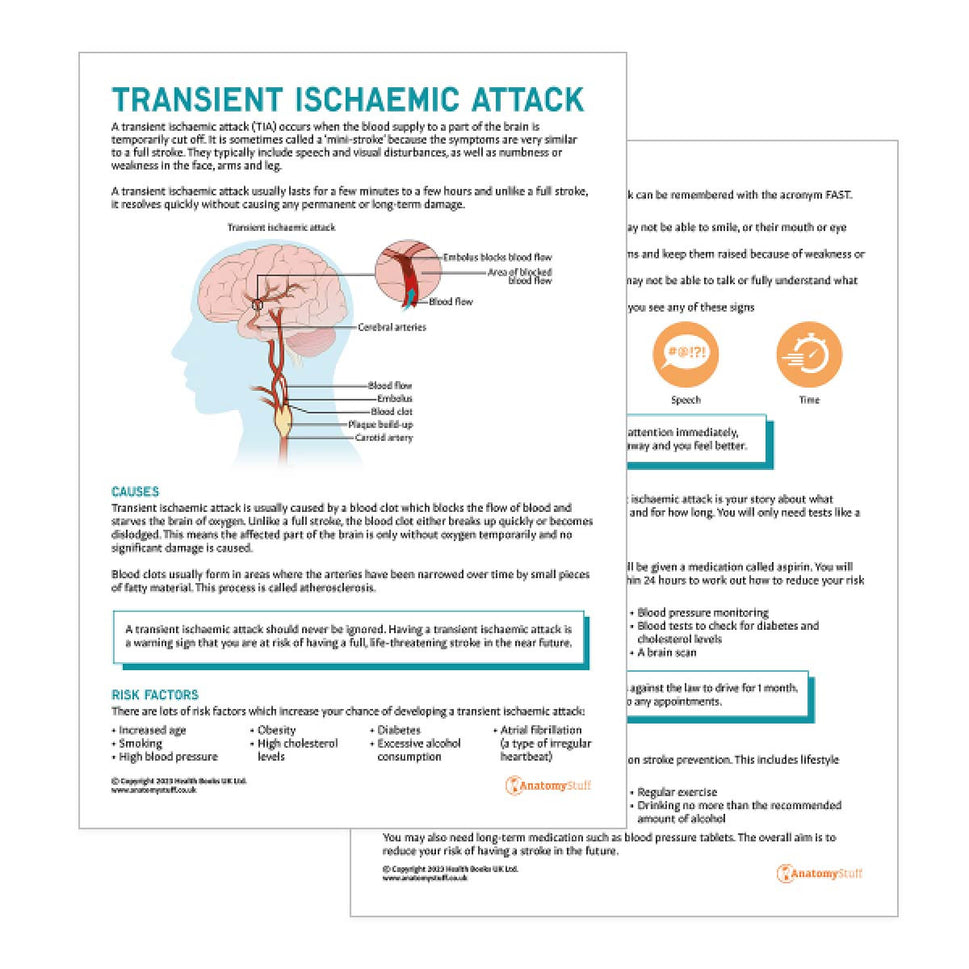 Transient Ischaemic Attack Patient Education Handout (Printable PDF)