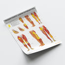 Switch Trigger Points: Lower Extremities Chart / Poster 3 image