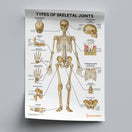 Switch Types of Skeletal Joints (Printable PDF) 2 image