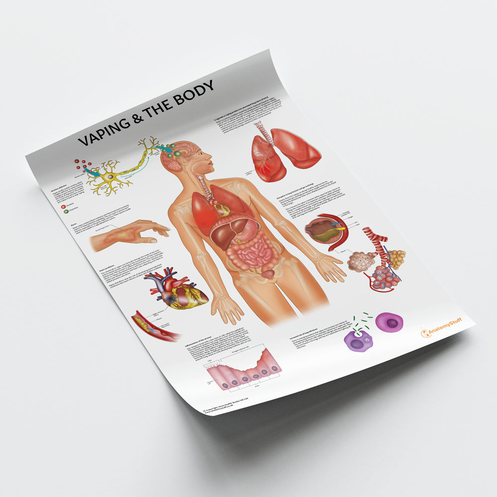 Vaping and The Body Chart / Poster - Part of Collection