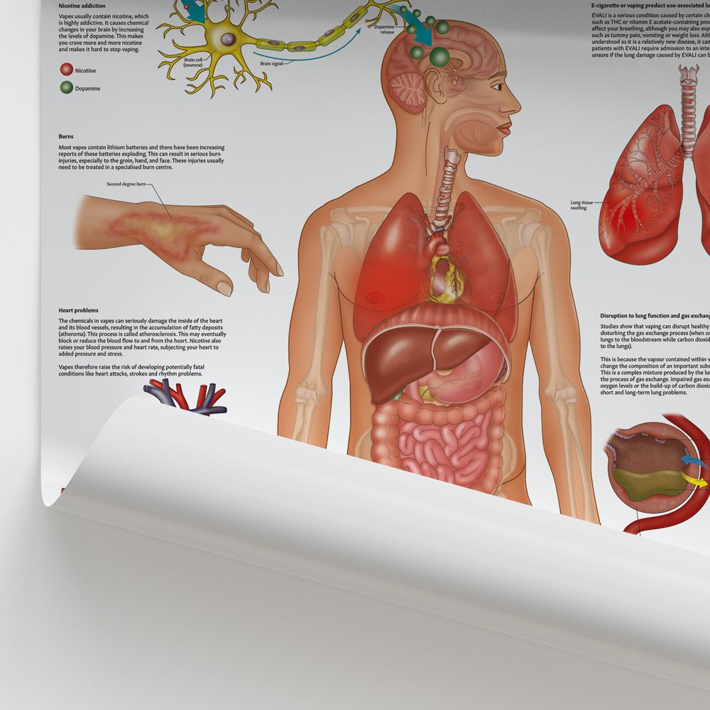 Vaping and The Body Chart / Poster - Part of Collection