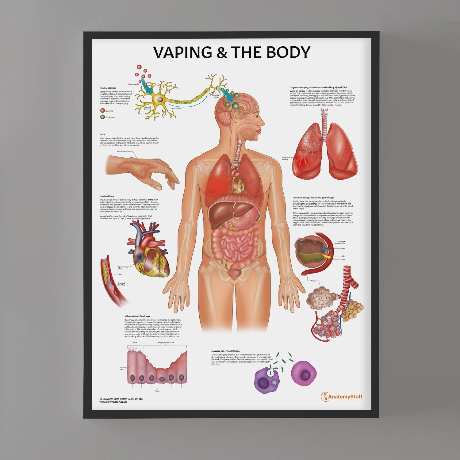Vaping and The Body Chart / Poster - Part of Collection