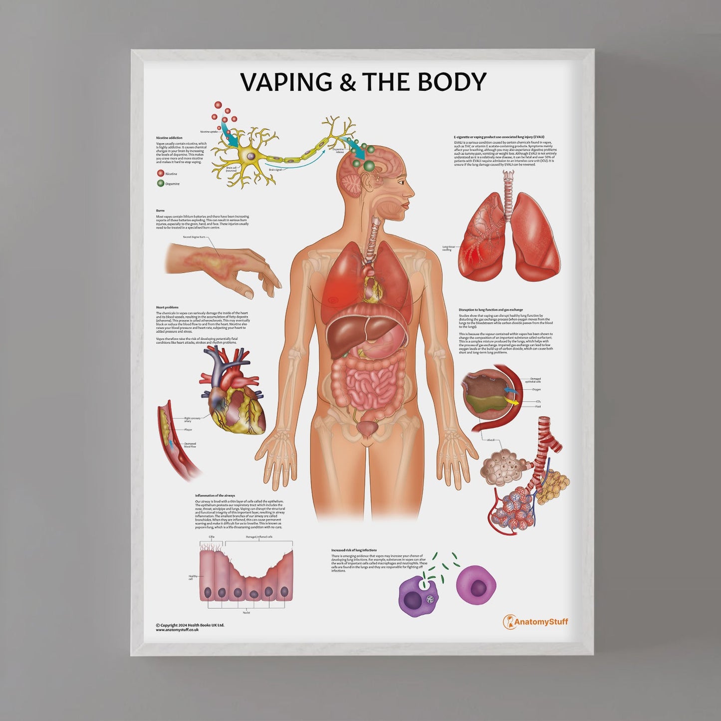 Vaping and The Body Chart / Poster - Part of Collection