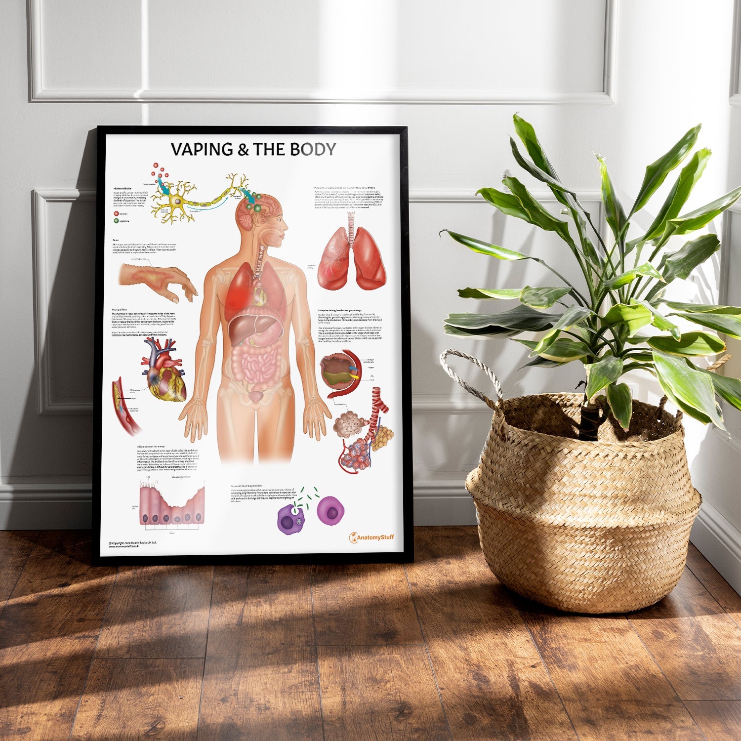 Vaping and The Body Chart / Poster - Part of Collection