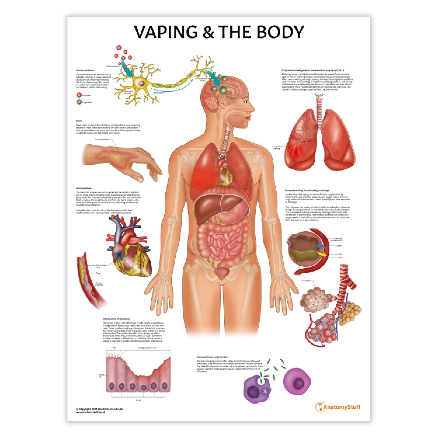 Vaping and The Body Chart / Poster - Part of Collection