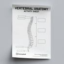 Switch Vertebral Anatomy Activity Sheet PDF 2 image