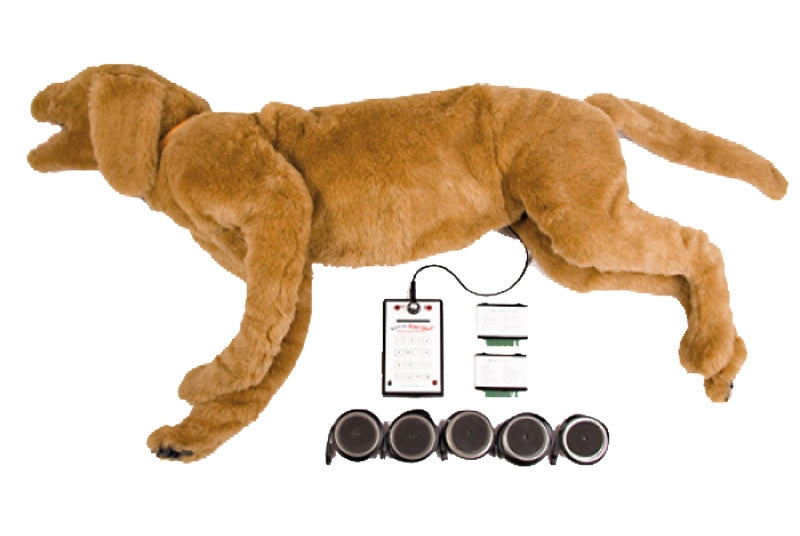 "Goldie K9" Canine Breath/Heart Sound Simulator