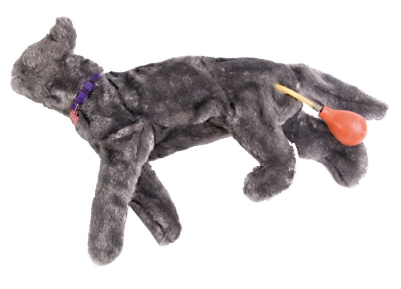"Fluffy" Feline CPR Manikin