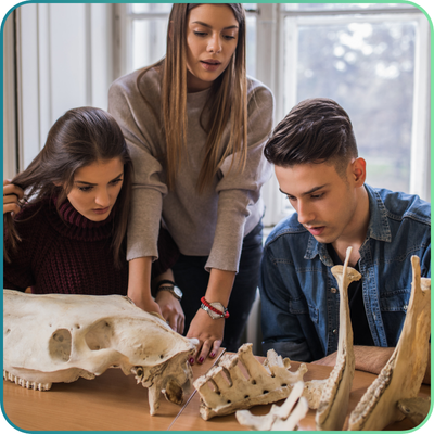 Veterinary Student Resources