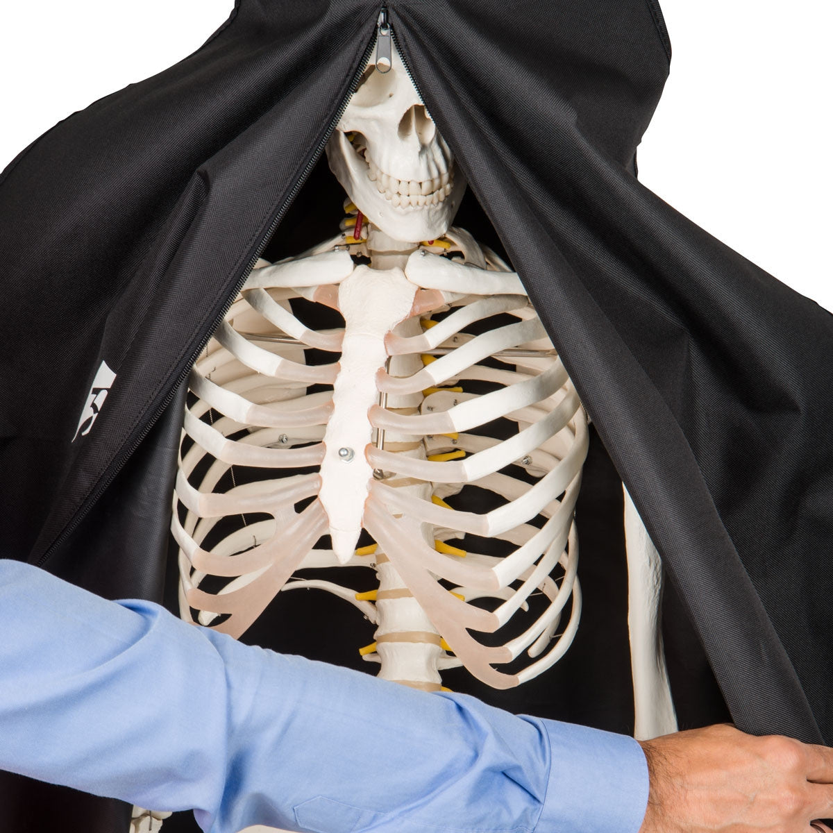 Heavy Duty Dust Cover for Skeleton Models