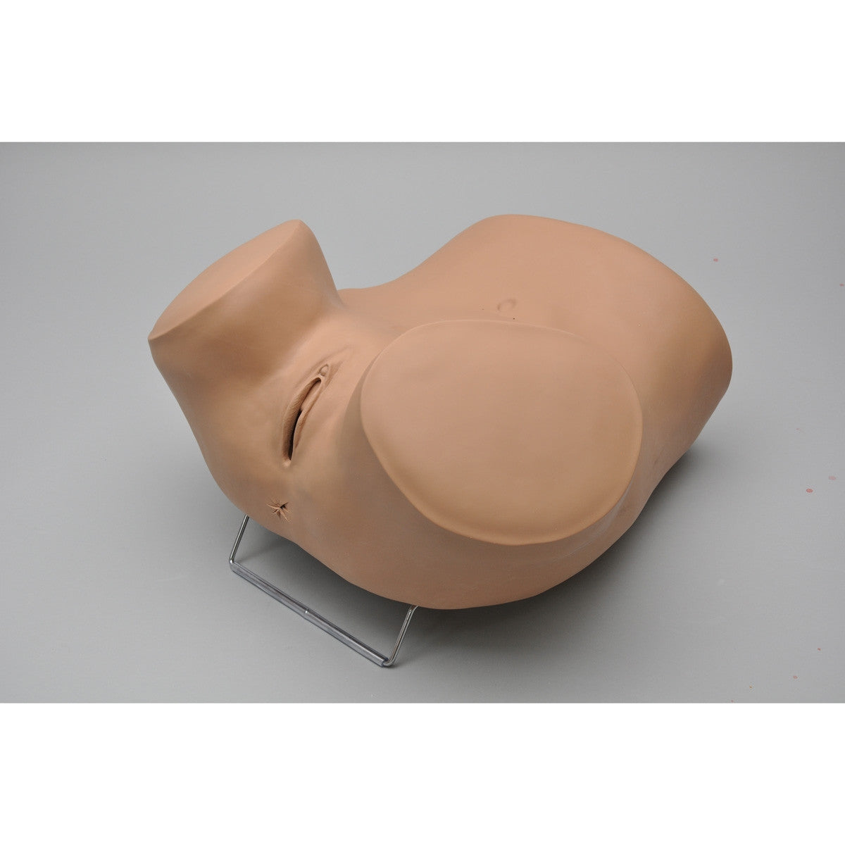 ZOE Gynaecological Skills Trainer