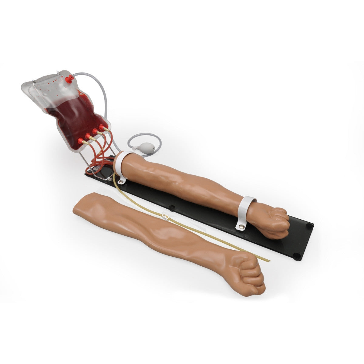 Multipurpose Venous  Right Training Arm
