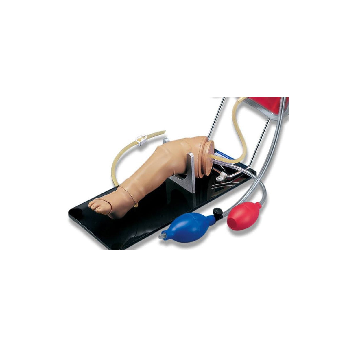 Newborn Intraosseous Infusion and Injection Leg Skills Trainer