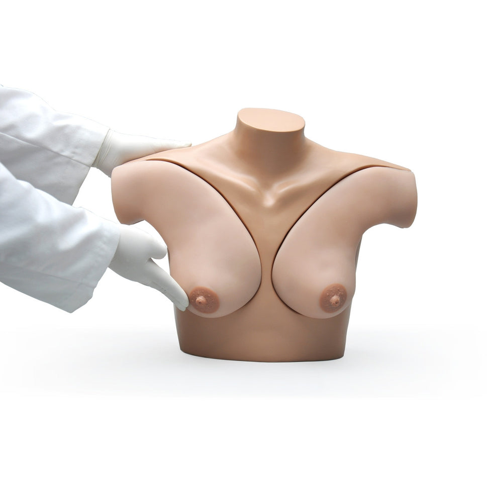 Breast Examination  Skills Trainer