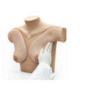 Switch Easily Removable Attached Breasts 2 image