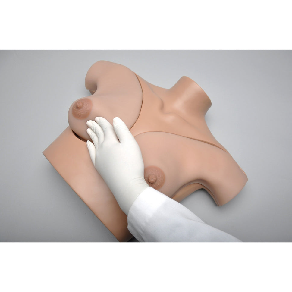 Breast Examination  Skills Trainer