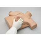 Switch Palpable Left and Right Breasts 3 image