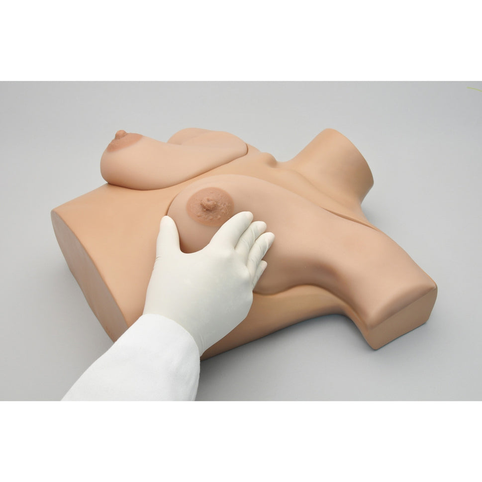 Breast Examination  Skills Trainer