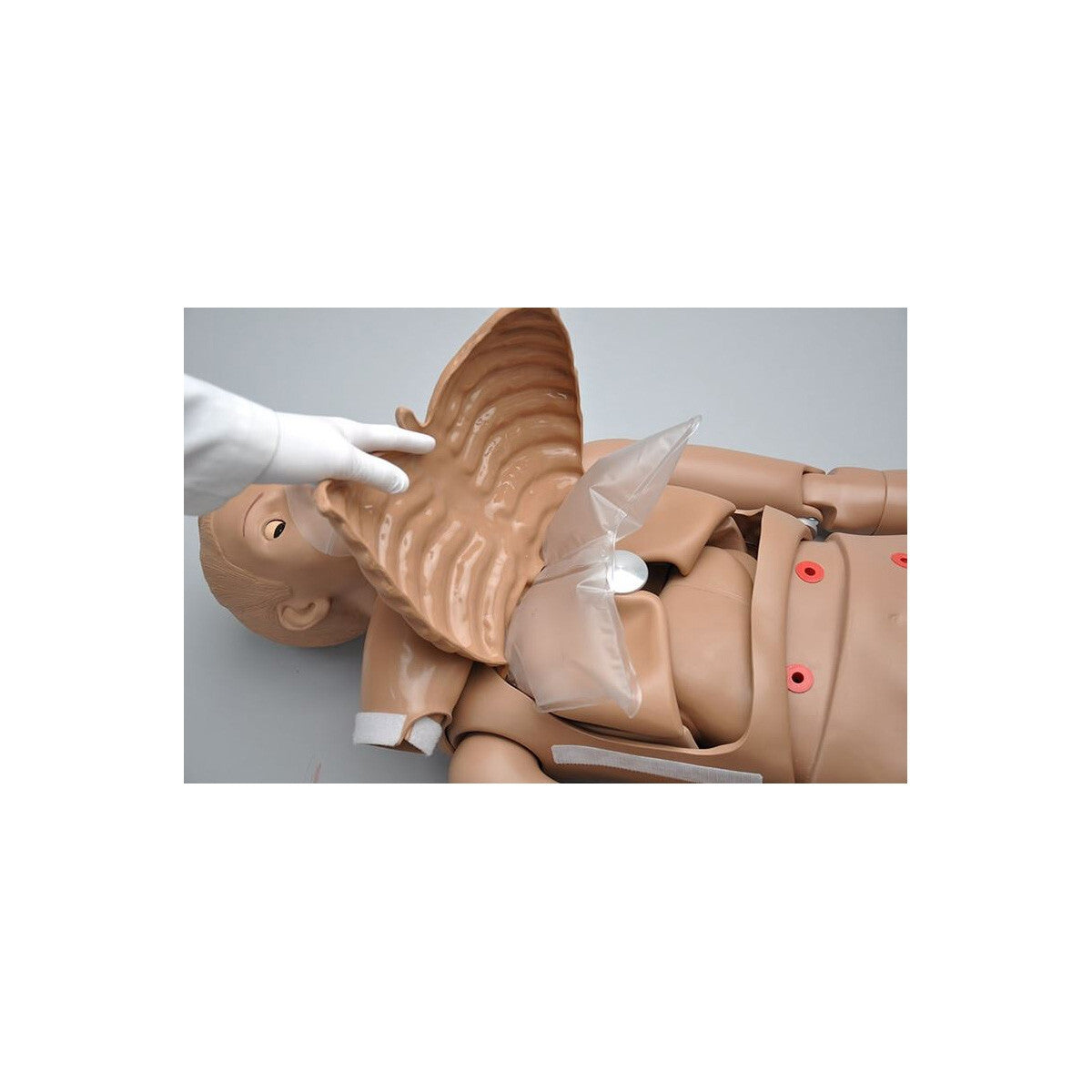 CPR SIMON Basic Life Support Full-Body Trainer