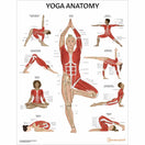 Switch Yoga Anatomy and Positions Poster 3 image