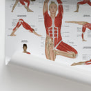Switch Yoga Anatomy Chart / Poster 2 image